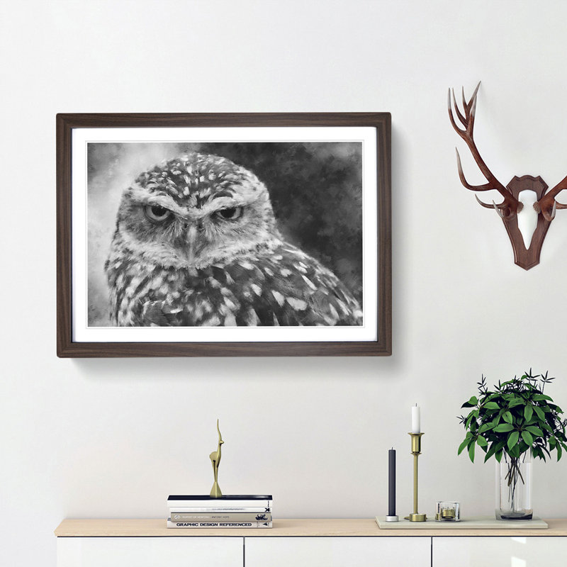 Little Owl - Picture Frame Graphic Art Print, Walnut Framed, 62cm H x 87cm W x 2cm D