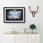 Lake Mcdonald In Montana Paint Splash - Picture Frame Graphic Art-56865319-56865324
