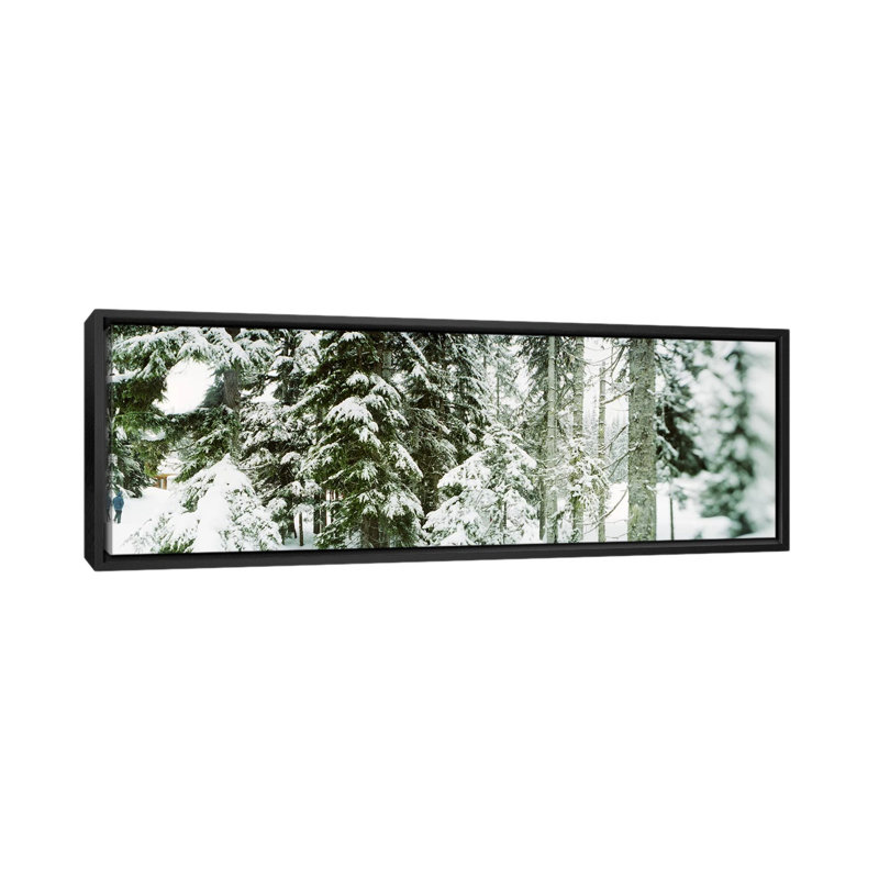 Panoramic Print on Canvas, 24" H x 72" W x 1.5" D, Wrapped Canvas