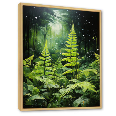 Yosvani " Ferns Plant Mystical Shadows II " Color Photography Print