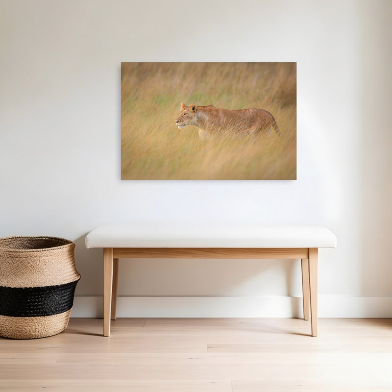 Lioness In Golden Grass Contemporary Cat Lion Nature Wildlife Wall Art Print, 60.96cm H x 91.44cm W