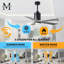Patricia LED Downrod Ceiling Fan-486067283-486079862