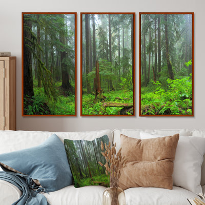 " Hoh Rain Forest " 3 - Pieces