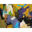A Walk In The Woods Ll Print by Phyllis Adams-64401441