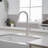 VIBRANTBATH Pull Out Kitchen Faucet-93524853