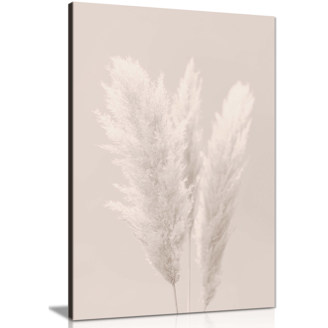 Pampas Grass - Wrapped Canvas Print