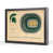 Michigan State Spartans BB