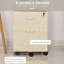 40cm Wide 2 -Drawer Mobile File Cabinet-648953202