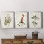 Pl. 63 mouchoirs aux yeux blancs - ensemble de 3 impressions sur toile encadrées-1466172715-1466172692