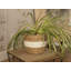 Teddy Plant Pot