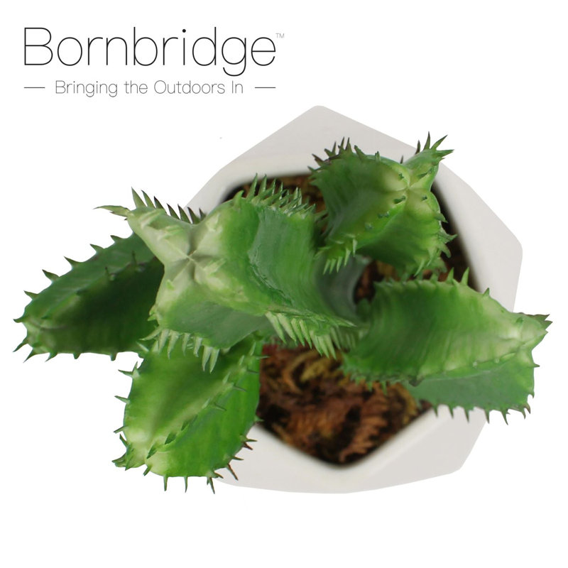 2.75" Artificial Cactus Succulent in Planter