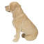  Statue chien retriever du Labrador jaune 9 po H