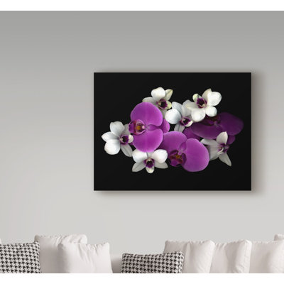 Art mural sur toile tendue - Susan S. Barmon, «Orchidées roses et blanches» pour décoration de salon, de chambre à coucher ou de bureau - 14 x 19