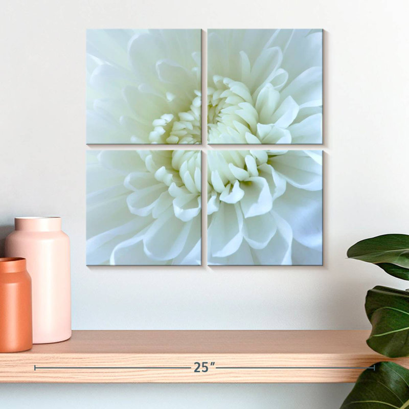Harnek gros plan sur une fleur blanche I, H 18 po x l 18 po