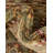 Niles Oriental Area Rug-1344006249-1445867359