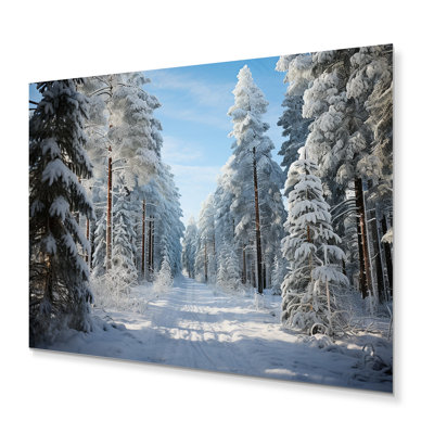 Winter Snowy Evergreen III - Impression de paysages sur métal