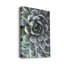 Zen succulent III-reproduction de photo sur toile tendue-209735988