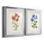 «Botanical I», ensemble de 2 reproductions d'art-272082546-271774477-272082544