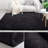 Neicha Deep pile Soft Fluffy Black Indoor/Outdoor Living Room Area Rug-400142103