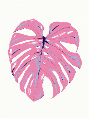 Monstera Leaf, 121.92 cm H x 81.28 cm W, White/Pink
