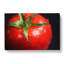 Red Tomatoes In Abstract - Wrapped Canvas-55340418