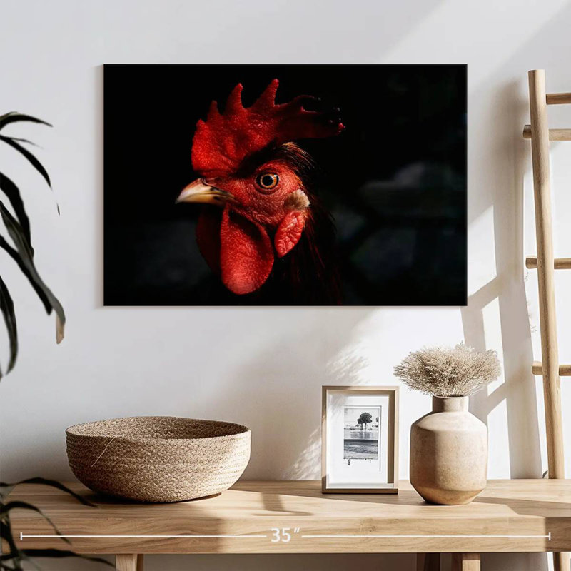 Crowle Rooster Head Up Gros Plan, H 16 po x l 24 po