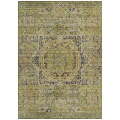 Machine Washable Indoor/Outdoor Xhevrie Aloe Rug