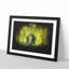 Marvellous Elephant in a Green Forest - Picture Frame Painting Print-56842919-56842917