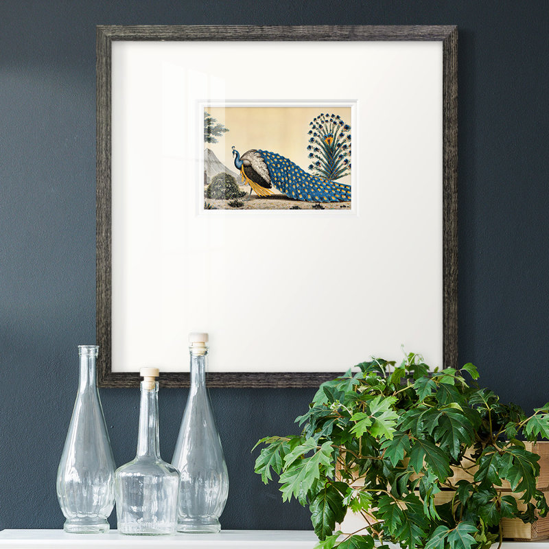 Peacock Plumpremium, reproduction encadrée, L 17 po x H 17 po, Papier avec cadre noir
