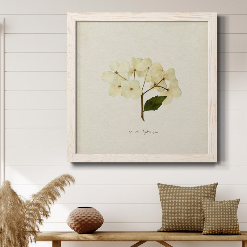 Cornales Hydrangea II - toile encadrée de qualité supérieure - prête à être accrochée, H 17 po x l 17 po x P 1,5 po