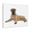 Wall Art on Canvas-52120236
