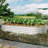 Raised Garden Bed Kit-399243716