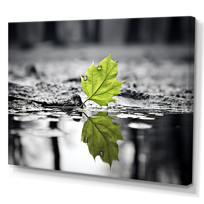 " Green Leave Solitude in Winter II " Mixed Media and Color Photography Print