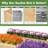 Akadian Wood Raised Garden Bed