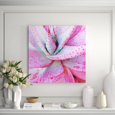 Aloès rose - photographie sur acrylique carré