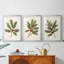 Art des Fêtes de Noël - série 2 - CCLXII - reproduction encadrée de qualité supérieure sur mesure mat - 3 pièces-236935511-236935505