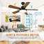 Kynadie 44'' Ceiling Fan with LED Lights-789436014