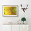 Petals of the Yellow Sunflower - Picture Frame Painting Print on MDF-56633644-56633645
