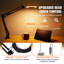 Dastina Adjustable Novelty Lamp