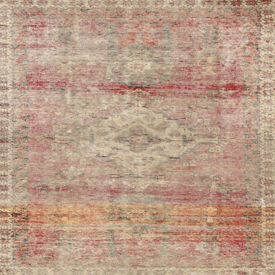 Oriental Indoor Rug