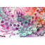 15, Inset A Print by Katie Schutte