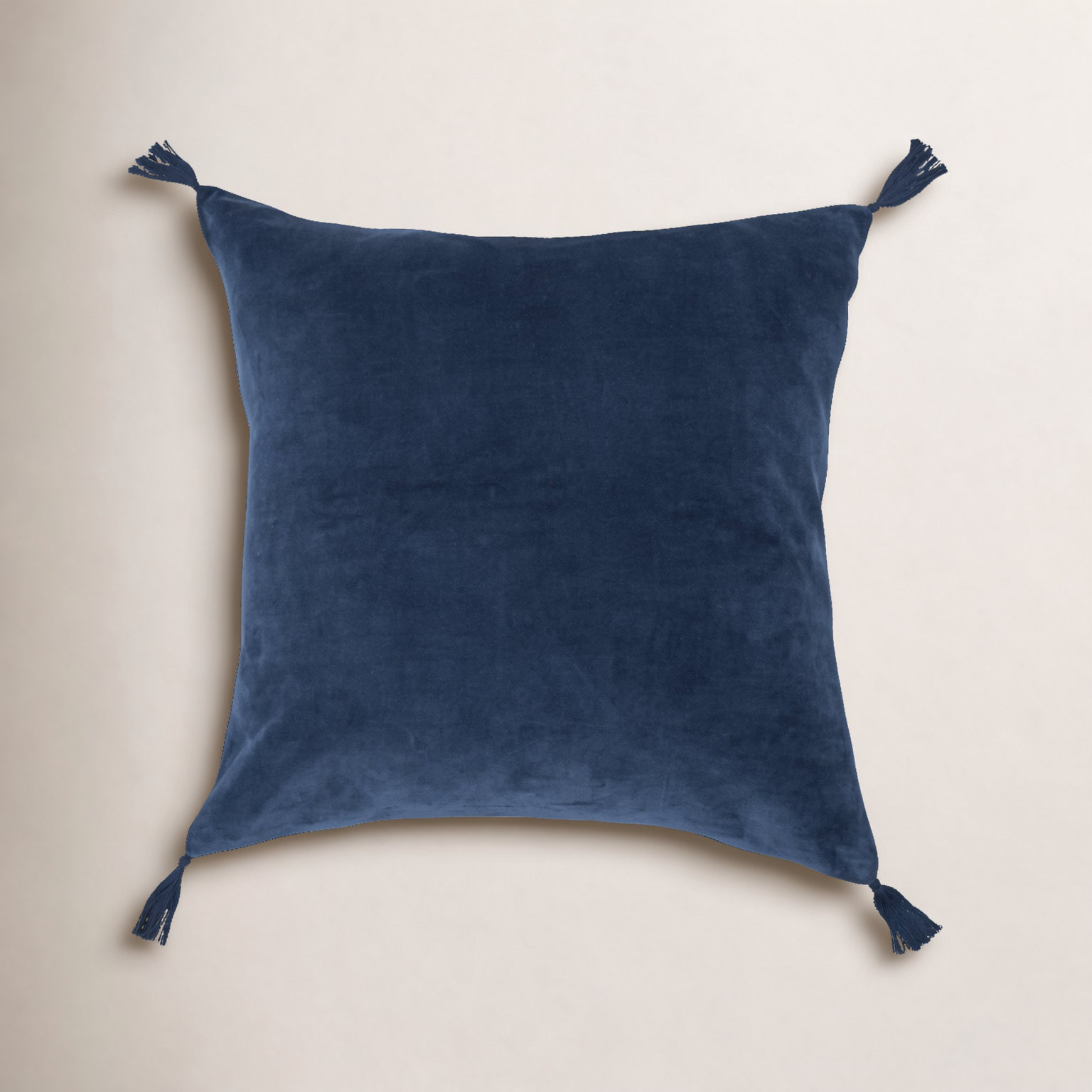 Rodrick 22" x 22" Cotton Throw Pillow, Navy