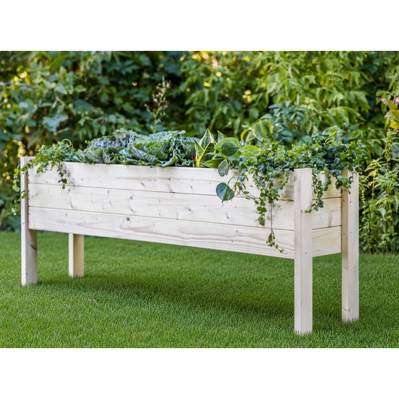 Fidelas Outdoor Elevated Planter, 60"L X 12" W X 22"H