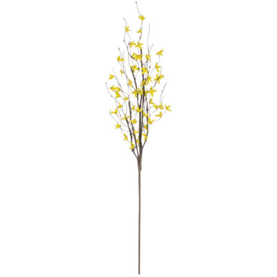 Forsythia Arrangement