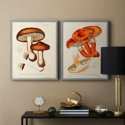 «Mushroom Variétés VI», reproduction encadrée de qualité supérieure - prête à être accrochée - aucun clou requis - aucun clou requis