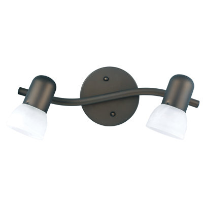 Ensemble de rail d'éclairage 2 lumières 15 po Ra derrièrey