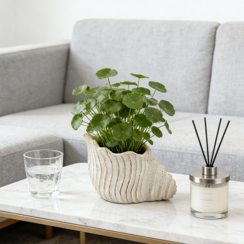 Snail Shell-Shaped Planting Container in Sand-Textured Cement Material — 11.5-Inch Unique Planter, Ideal for Home Garden Decor