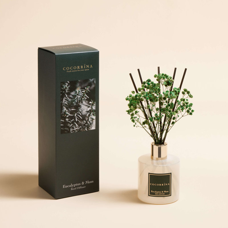 COCORRÍNA Reed Diffuser Set, Eucalyptus & Moss