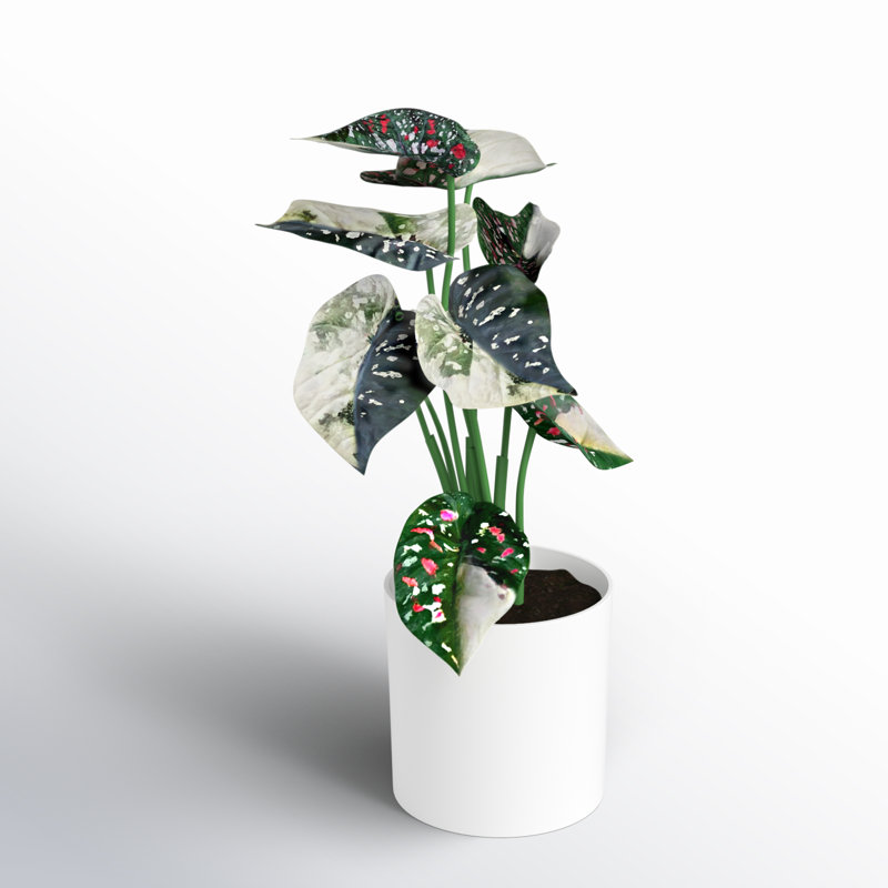 11.5'' Faux Plant in Pot, Green