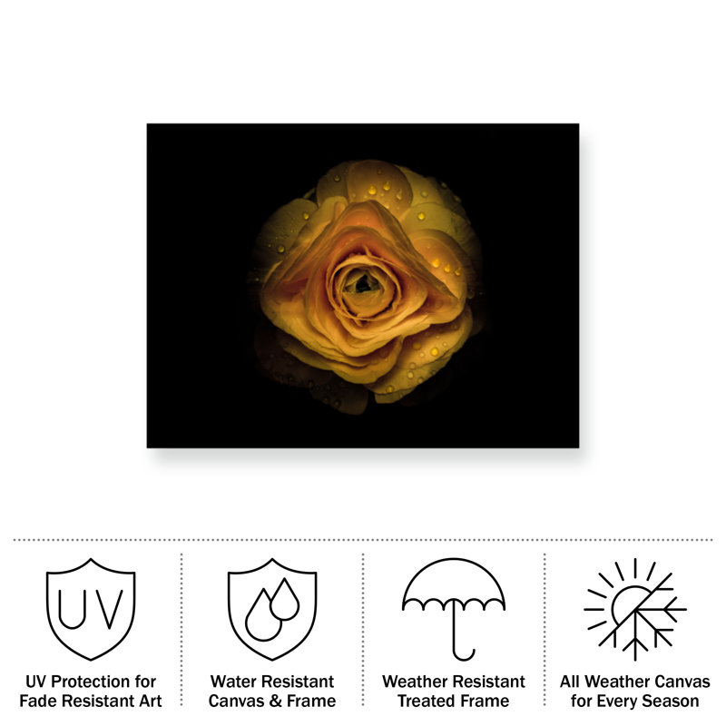 Fleurs de jardin bolognaise 74, H 14 po x l 19 po